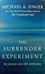 Michael A Singer The Surrender Experiment