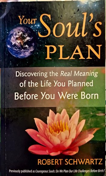 Your Souls Plan Robert Schwartz