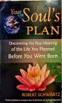 Your Souls Plan Robert Schwartz